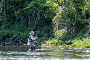 Trout Fishing